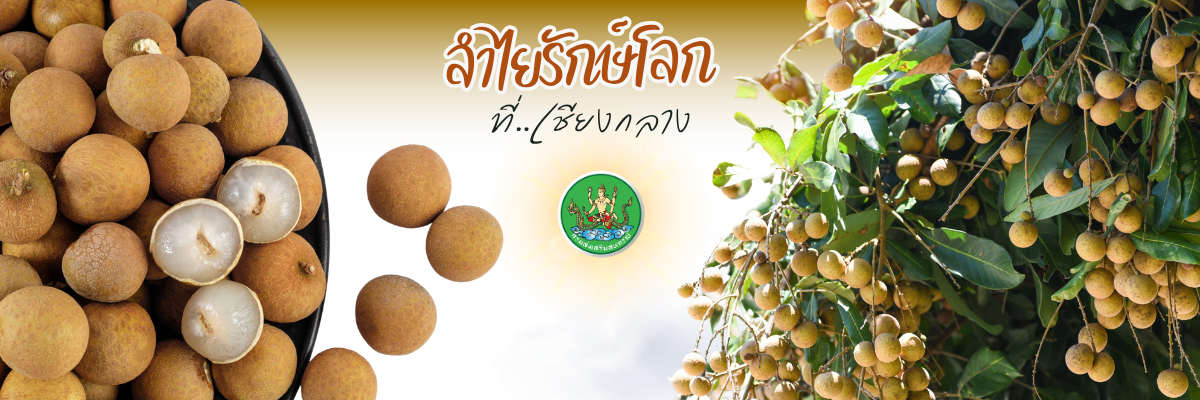 ผลงานเด่น