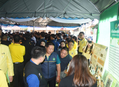 โครงการเร่งรัดผ่าตัดทำหมันสุนัขและแมว ... พารามิเตอร์รูปภาพ 3