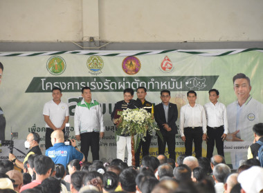 โครงการเร่งรัดผ่าตัดทำหมันสุนัขและแมว ... พารามิเตอร์รูปภาพ 12