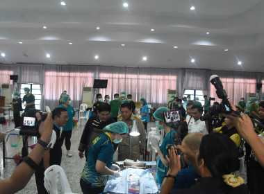 โครงการเร่งรัดผ่าตัดทำหมันสุนัขและแมว ... พารามิเตอร์รูปภาพ 13