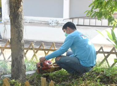 กิจกรรมวันรักต้นไม้แห่งชาติ พ.ศ.2568 พารามิเตอร์รูปภาพ 6