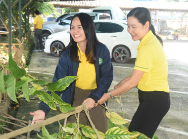 กิจกรรมวันรักต้นไม้แห่งชาติ พ.ศ.2568 พารามิเตอร์รูปภาพ 11