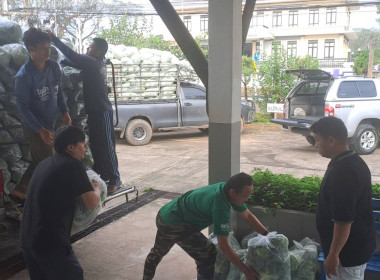 ช่วยซื้อและกระจายผลผลิตกะหล่ำปลีบ้านขุนสถาน ตำบลสันทะ ... พารามิเตอร์รูปภาพ 2