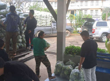 ช่วยซื้อและกระจายผลผลิตกะหล่ำปลีบ้านขุนสถาน ตำบลสันทะ ... พารามิเตอร์รูปภาพ 3