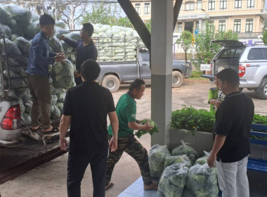 ช่วยซื้อและกระจายผลผลิตกะหล่ำปลีบ้านขุนสถาน ตำบลสันทะ ... พารามิเตอร์รูปภาพ 4