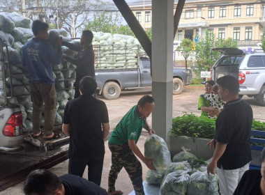 ช่วยซื้อและกระจายผลผลิตกะหล่ำปลีบ้านขุนสถาน ตำบลสันทะ ... พารามิเตอร์รูปภาพ 5