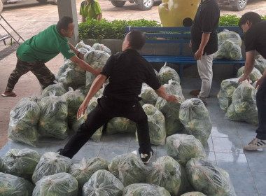 ช่วยซื้อและกระจายผลผลิตกะหล่ำปลีบ้านขุนสถาน ตำบลสันทะ ... พารามิเตอร์รูปภาพ 6