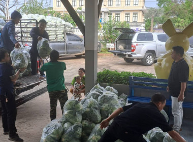 ช่วยซื้อและกระจายผลผลิตกะหล่ำปลีบ้านขุนสถาน ตำบลสันทะ ... พารามิเตอร์รูปภาพ 7