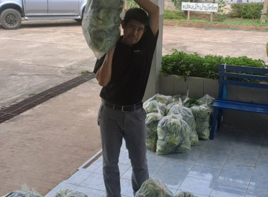 ช่วยซื้อและกระจายผลผลิตกะหล่ำปลีบ้านขุนสถาน ตำบลสันทะ ... พารามิเตอร์รูปภาพ 9