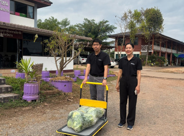 ช่วยซื้อและกระจายผลผลิตกะหล่ำปลีบ้านขุนสถาน ตำบลสันทะ ... พารามิเตอร์รูปภาพ 10