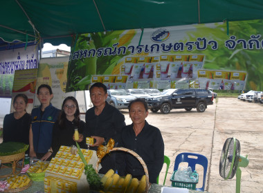 “รมช.ปิยะรัฐชย์” เปิดกิจกรรม "ร่วมใจพัฒนา ยกระดับสหกรณ์น่าน ... พารามิเตอร์รูปภาพ 11